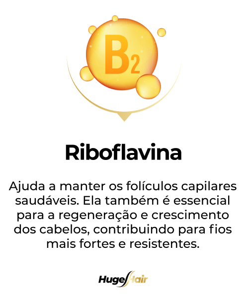 Riboflavina (1)